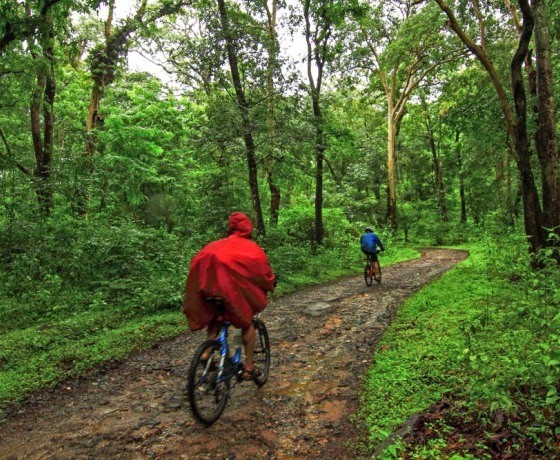 Madhya Pradesh